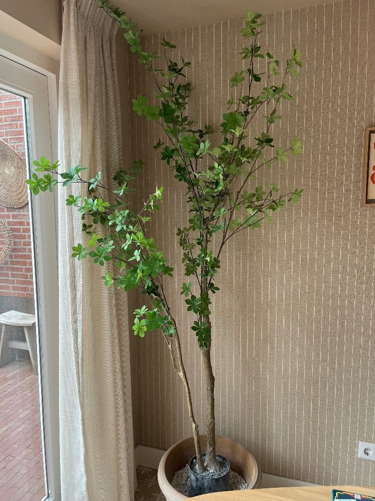Japanse zen boom, Kunstplant, Kunststof, Ophalen, 180 cm