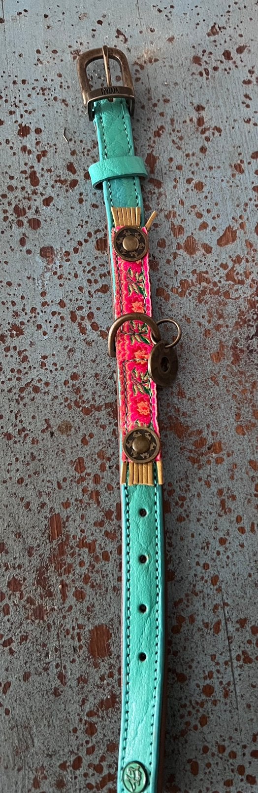 Supermooie DWAM halsband voor kleine honden, Ophalen of Verzenden, Nieuw