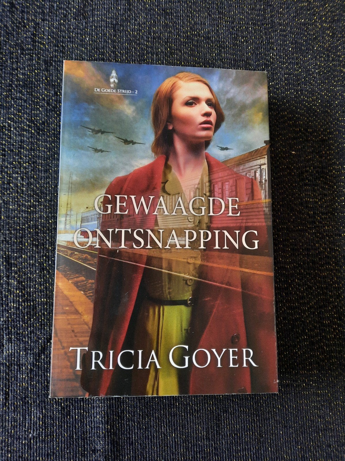 Gewaagde Ontsnapping - Tricia Goyer - Paperback met flappen, Boeken, Ophalen of Verzenden, Gelezen, Tricia Goyer, Nederland