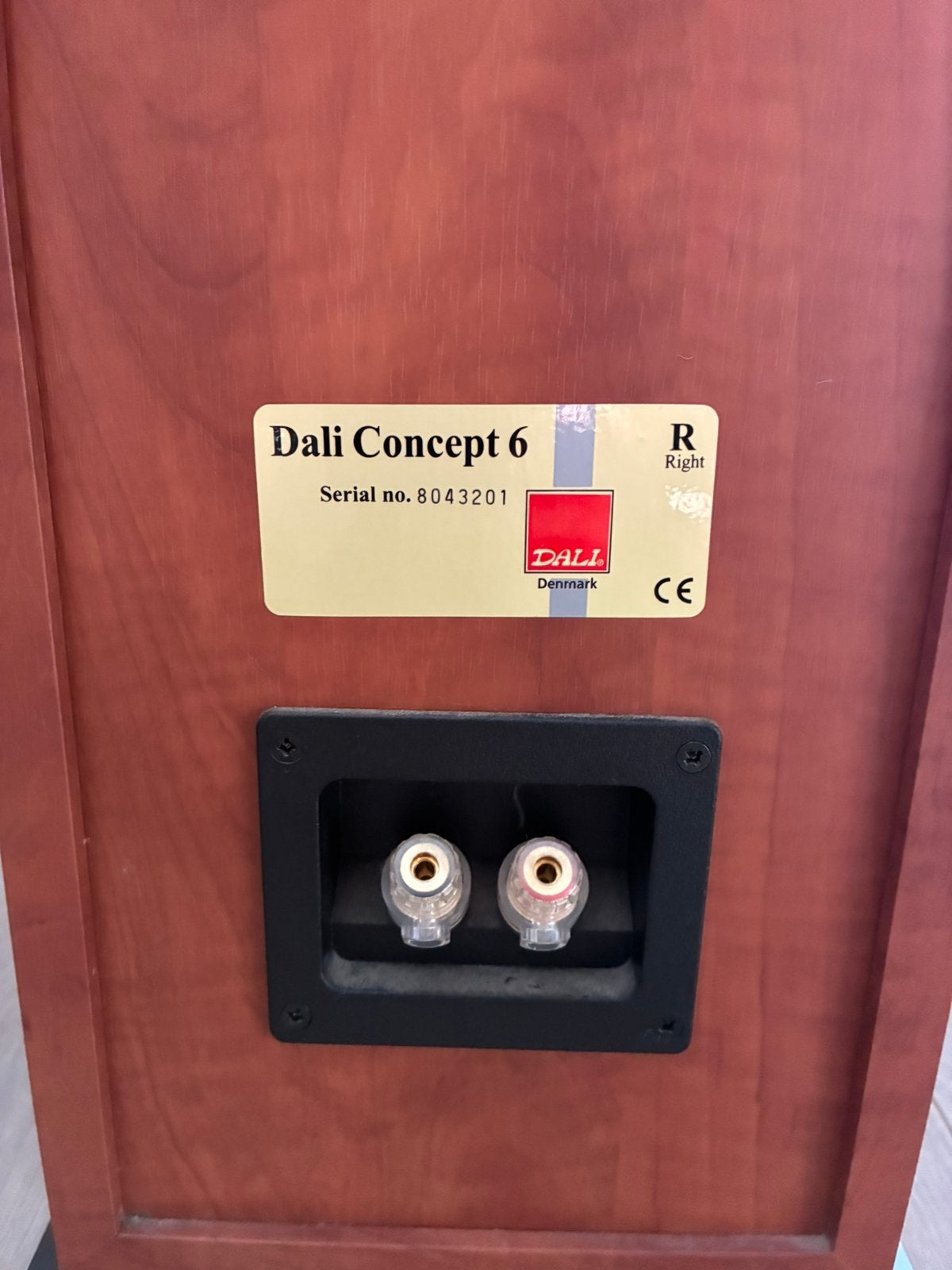 Dali concept 6 luidsprekers, Ophalen, Vloerstaande luidspreker, Gebruikt, 60 tot 120 watt