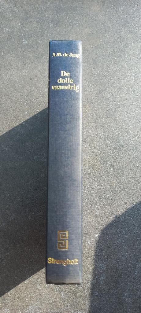De Dolle Vaandrig - A.M. de Jong (Strengholt), Ophalen of Verzenden, Gelezen