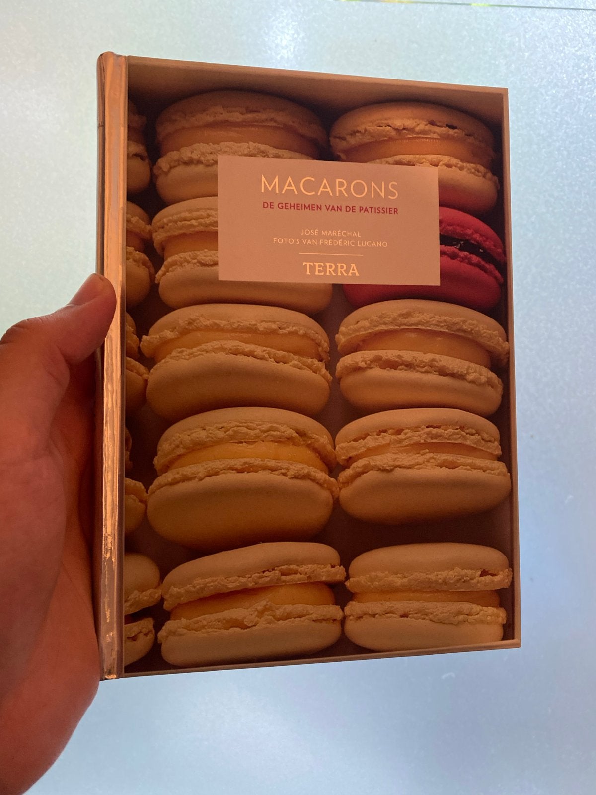 Macarons: De Geheimen van de Patissier - José Maréchal, Ophalen of Verzenden, Zo goed als nieuw, Europa, Taart, Gebak en Desserts