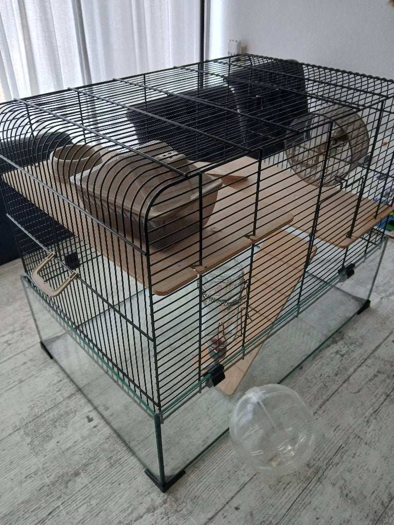 Hamsterkooi met glas in goede staat, Kooi, Minder dan 75 cm, Zo goed als nieuw, Ophalen
