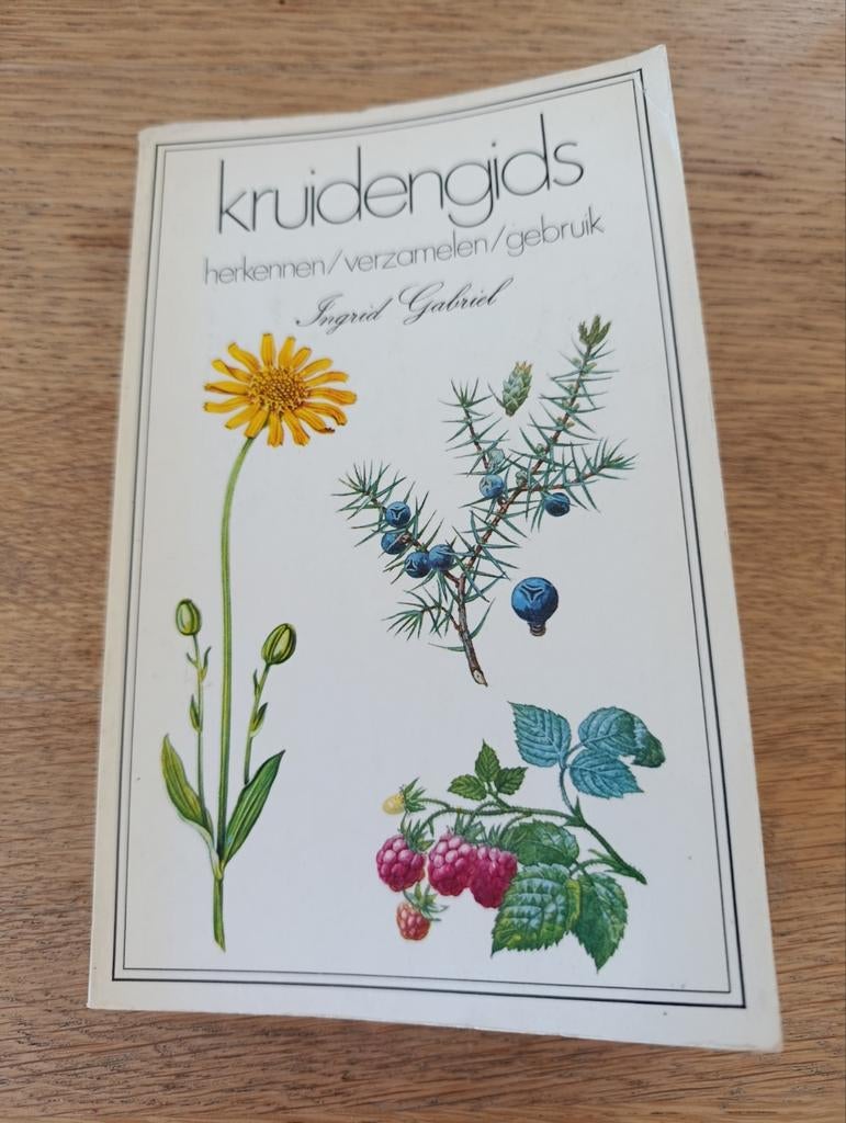 kruidengids, herkennen/verzamelen/gebruik

Ingrid Gabriel, Ophalen of Verzenden, Gelezen