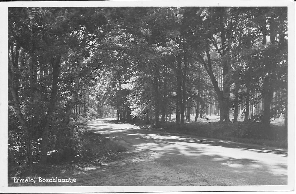 Ermelo Boschlaantje., Ophalen of Verzenden, 1940 tot 1960, Ongelopen, Gelderland