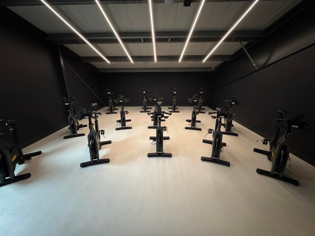 Technogym spinningfietsen, Ophalen, Gebruikt, Spinningfiets, Metaal