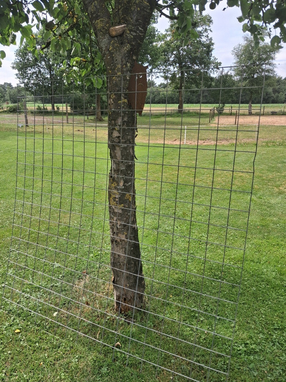 Betongaas gegalvaniseerd., Tuin en Terras, Gaas en Draad, Ophalen, Zo goed als nieuw, Minder dan 10 meter, Gaas