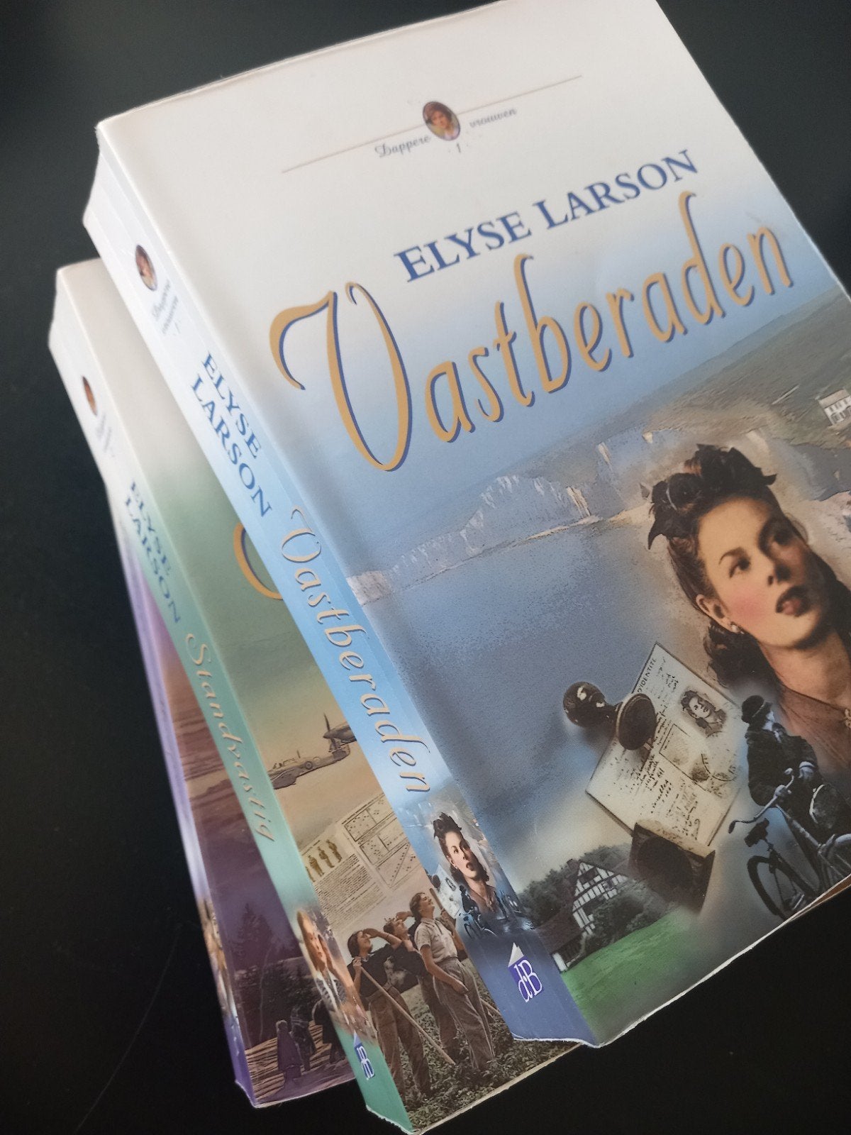 serie christelijke boeken Elyse Larson, Boeken, Ophalen of Verzenden, Gelezen