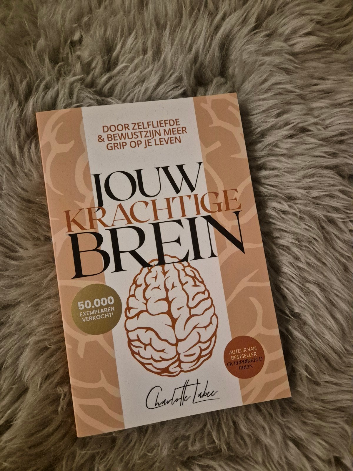 Jouw krachtige brein van Charlotte Labee, Boeken, Advies, Hulp en Training, Nieuw, Ophalen