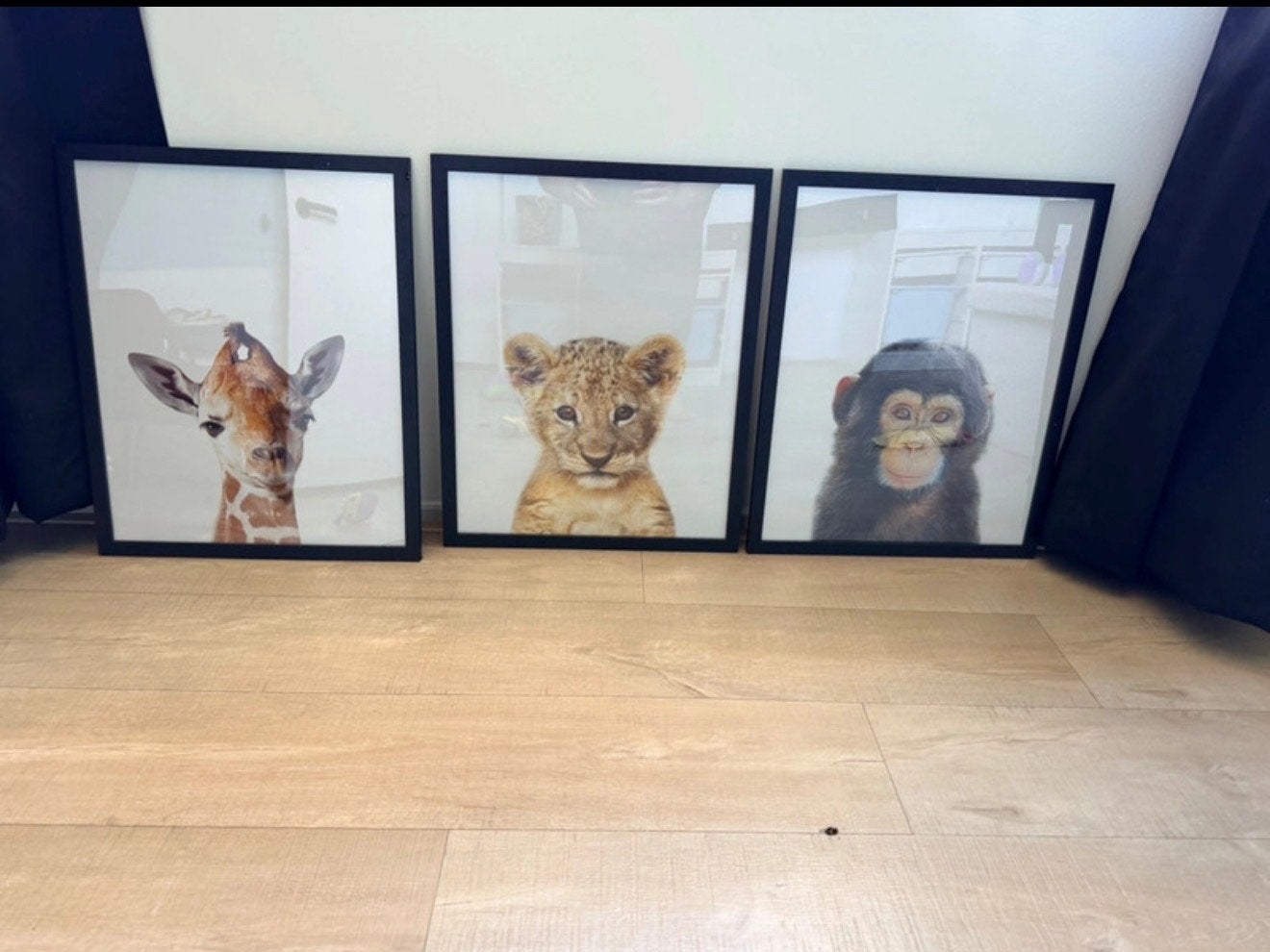 Jungle dieren Posters 50x40 cm, Ophalen, Zo goed als nieuw, Wanddecoratie