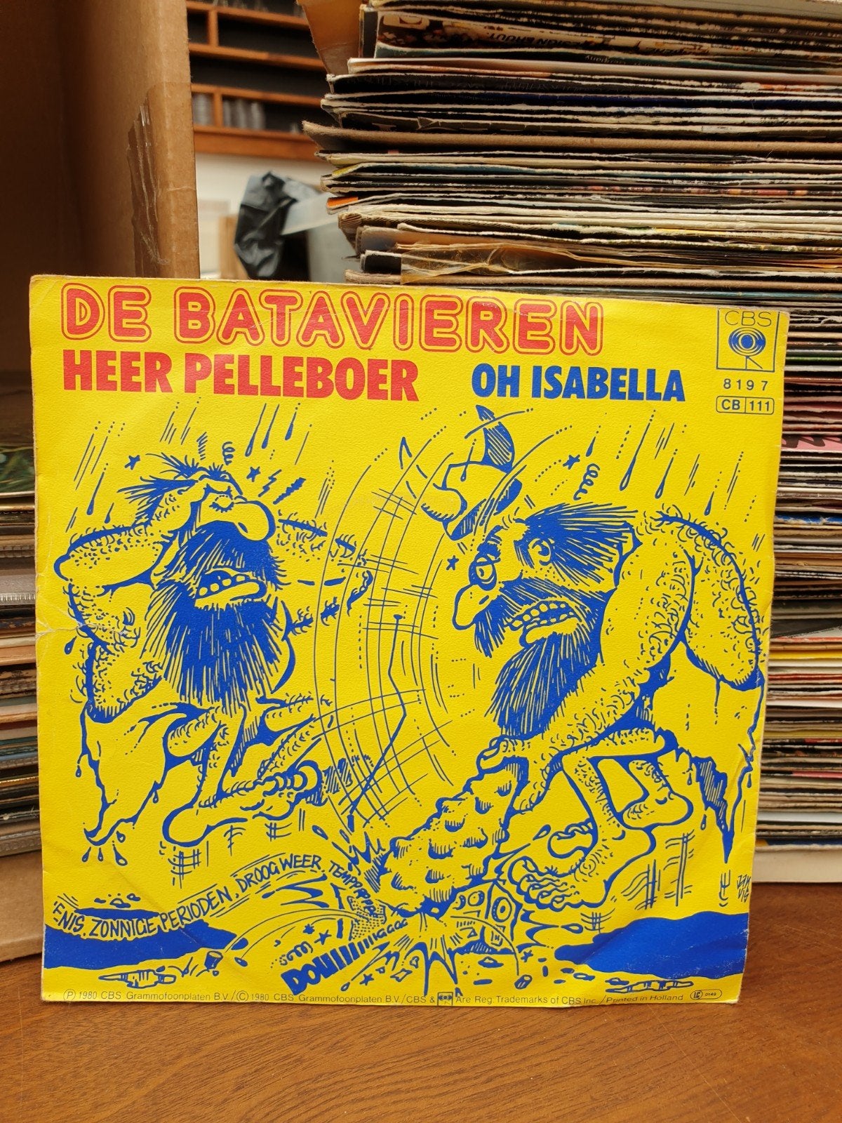 de Batavieren - Heer Pelleboer (a1), Ophalen of Verzenden, Zo goed als nieuw, Nederlandstalig