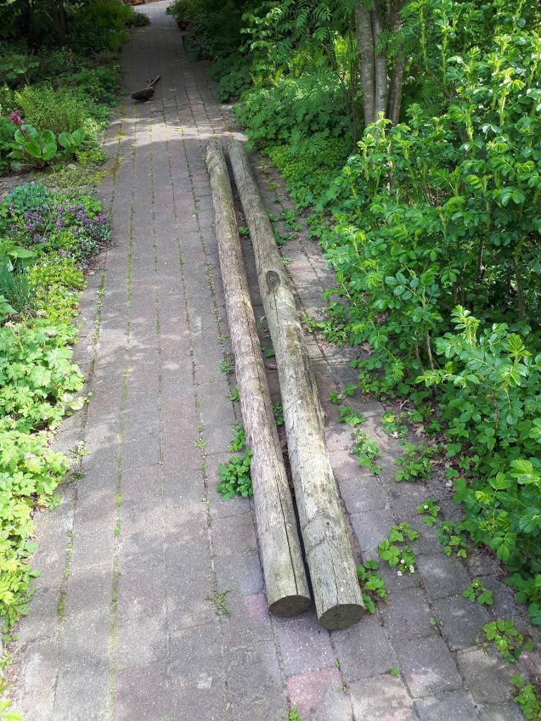 kastanje paal XXL, Ophalen, Palen, Nieuw, Hardhout