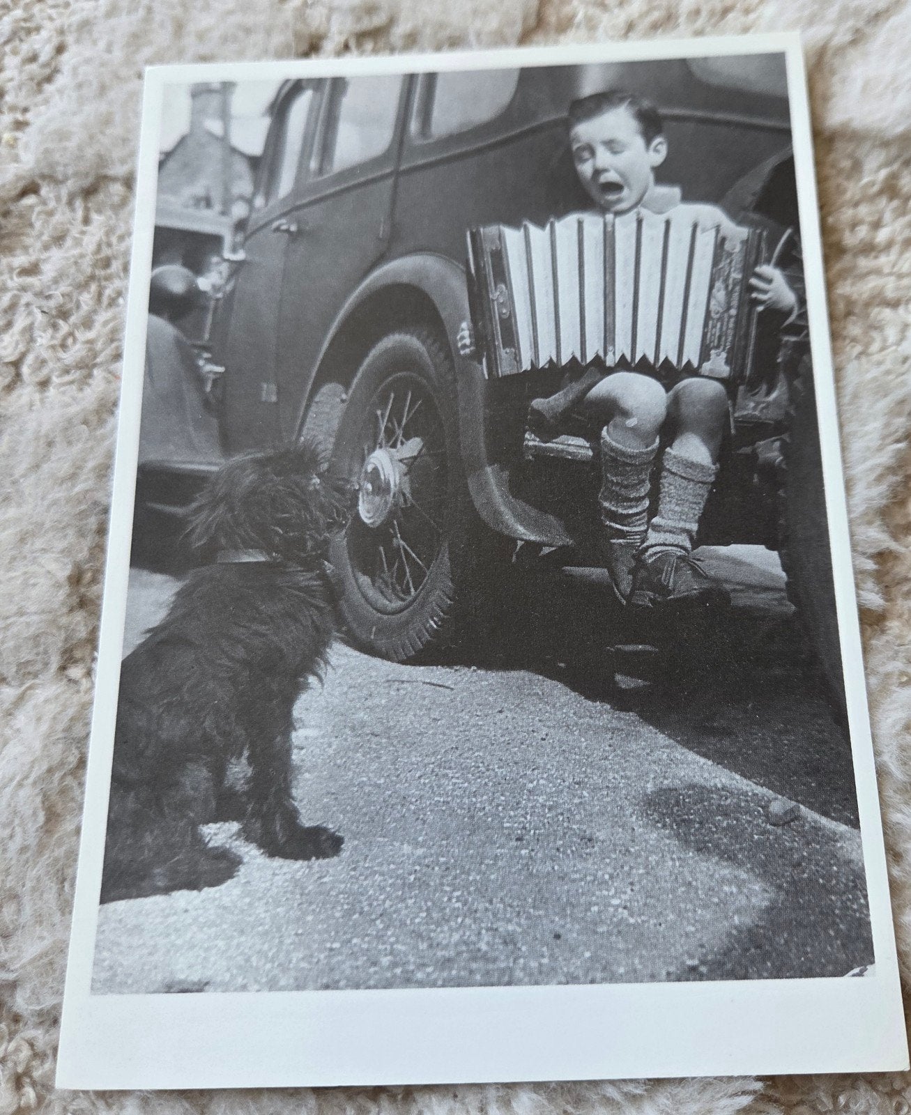 Vintage Ansichtkaart: Jongen met Accordeon en Hond, Verzamelen, Verzenden, 1980 tot heden, Gelopen, Kinderen