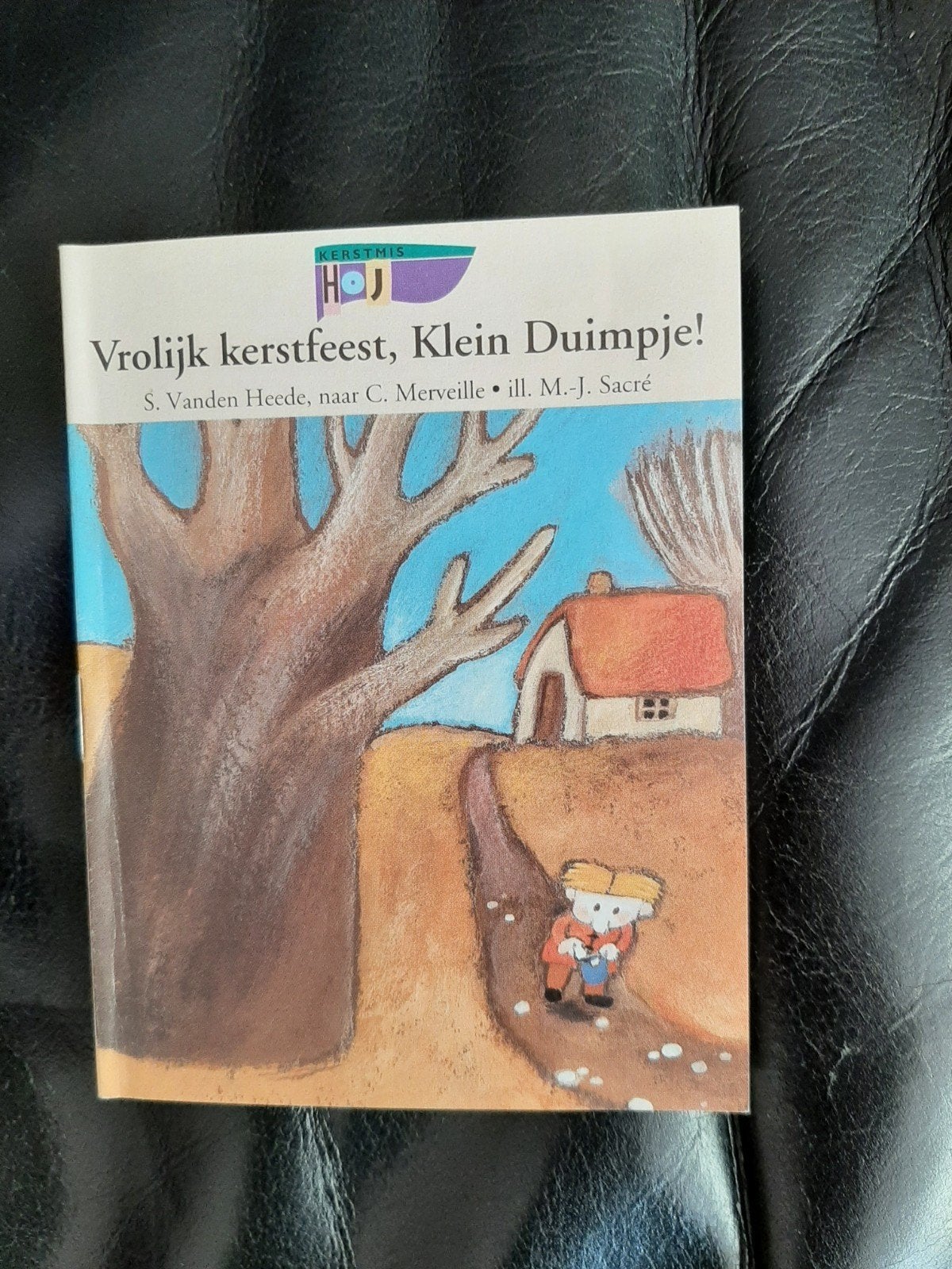 Vrolijk kerstfeest boeken set - 4 sprookjesboeken, Boeken, Jongen of Meisje, Ophalen of Verzenden, Zo goed als nieuw, Voorleesboek