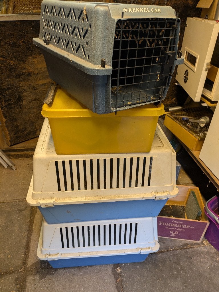 Dier vervoer box, Dieren en Toebehoren, Ophalen, Gebruikt