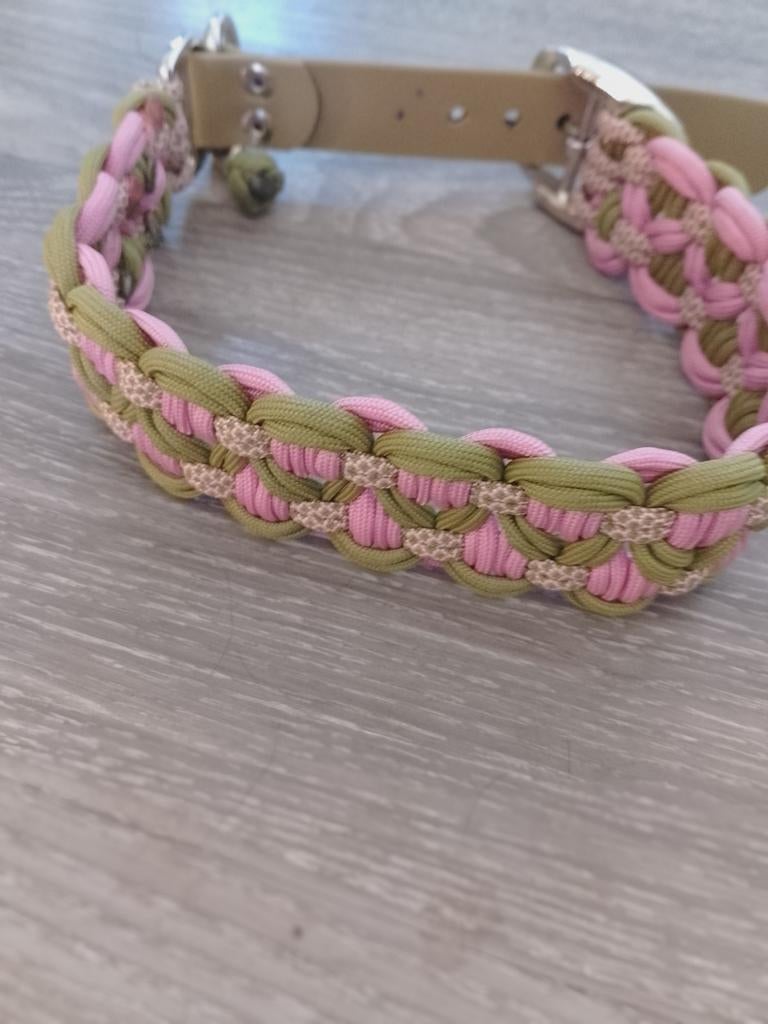 Honden halsband, Ophalen of Verzenden, Nieuw