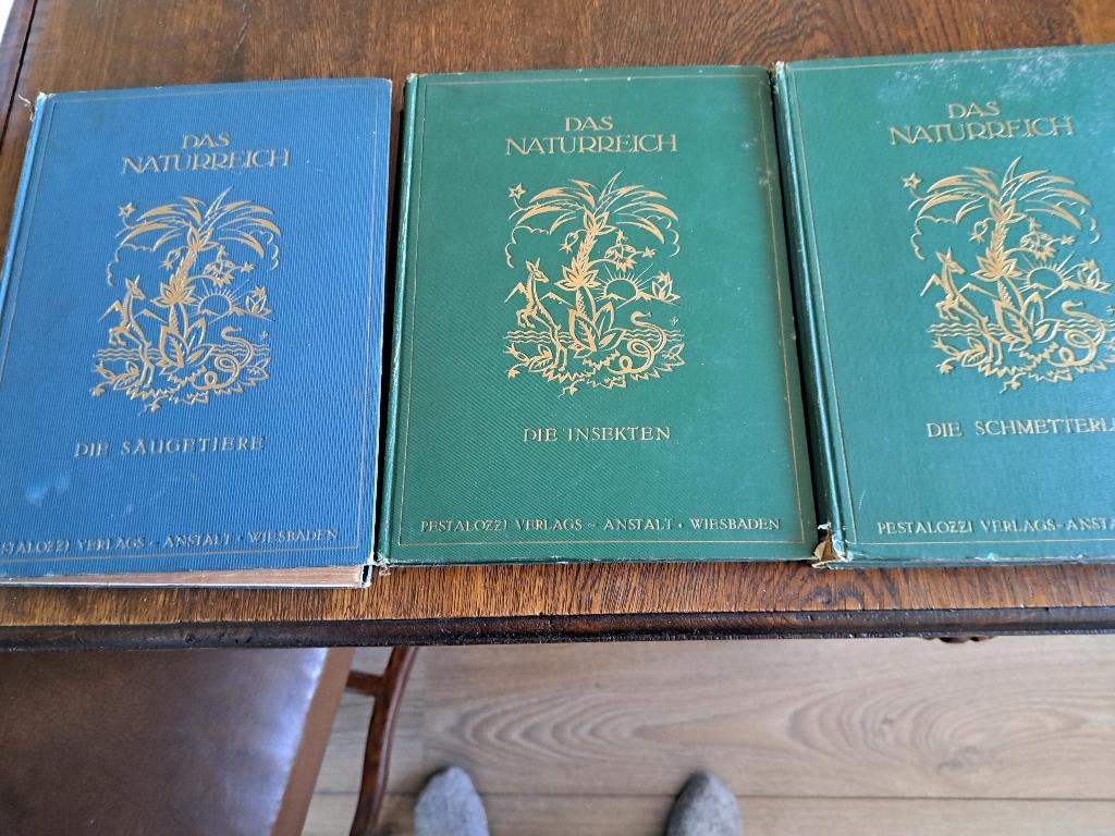 Boeken over zoogdieren, insecten en vlinders, Boeken, Natuur, Gelezen, Natuur algemeen, Ophalen of Verzenden
