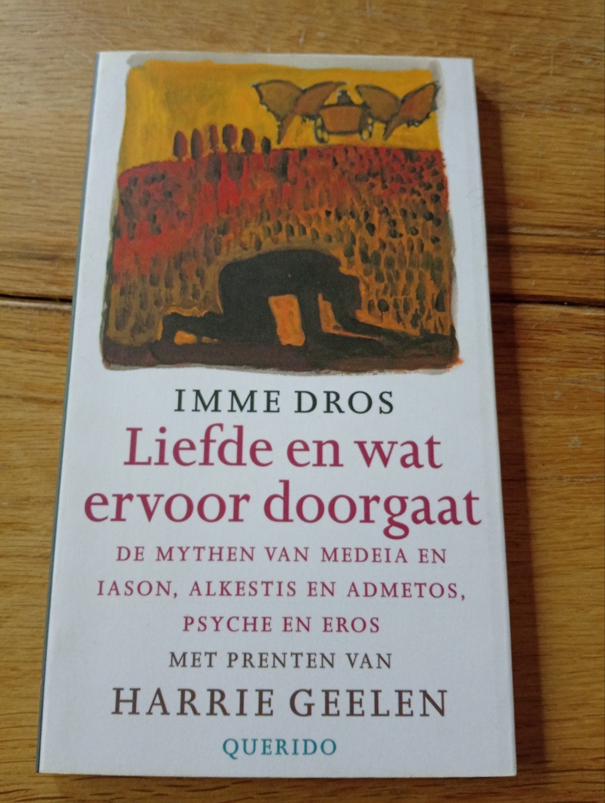 Liefde en wat ervoor doorgaat - Imme Dros (Querido), Boeken, Imme Dros, Ophalen of Verzenden, Zo goed als nieuw, Nederland