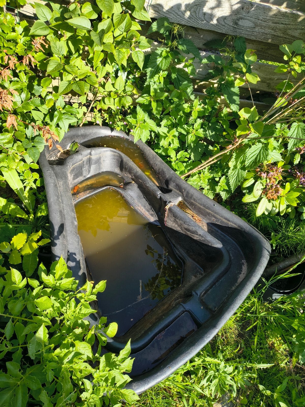 Vijver, Tuin en Terras, Vijvers, Ophalen