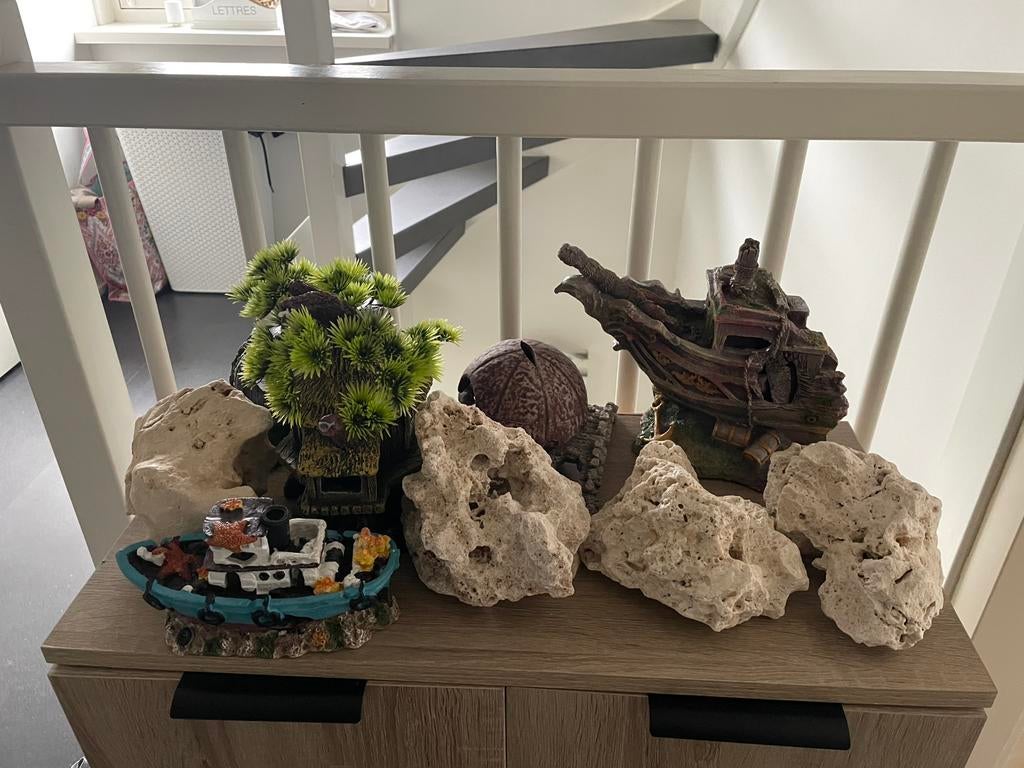Aquarium decoratie, Dieren en Toebehoren, Ophalen