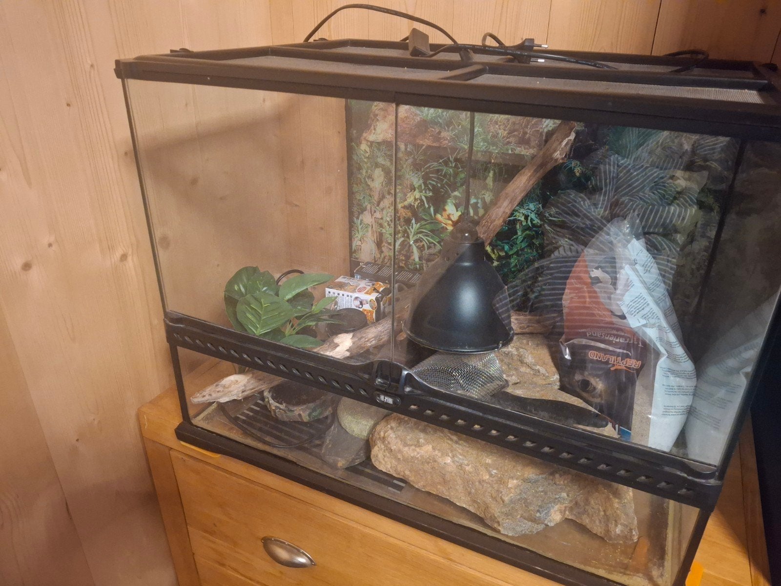 Terrarium, Dieren en Toebehoren, Ophalen, Gebruikt