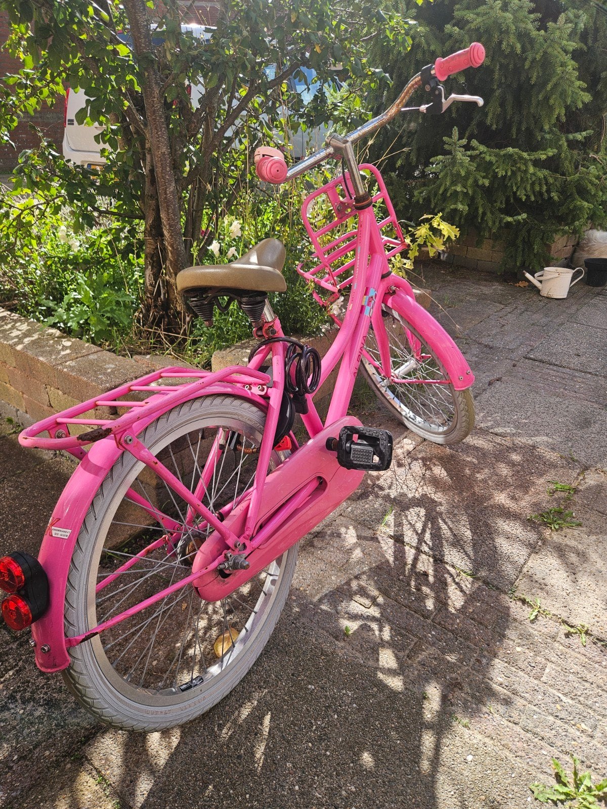 Alpina kinderfiets 20 inch en bagagedrager, Ophalen, Terugtraprem, Gebruikt, Onbekend