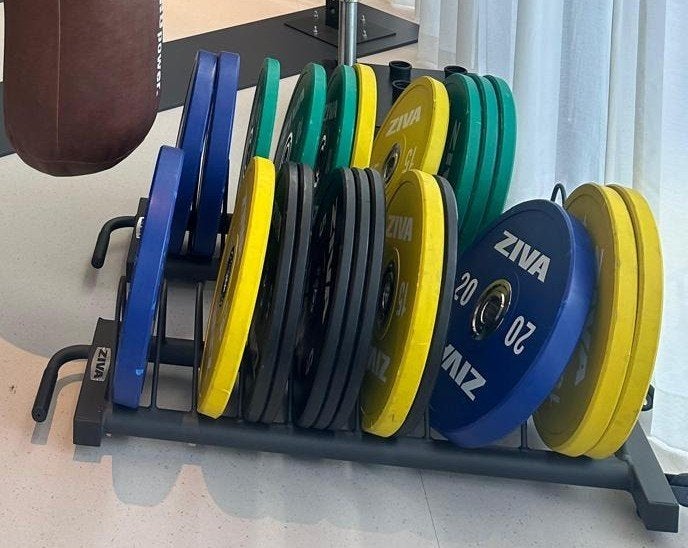 Set ZIVA halterschijven (260kg) - inclusief opslagrekken, Sport en Fitness, Fitnessmaterialen, Ophalen, Zo goed als nieuw, Benen