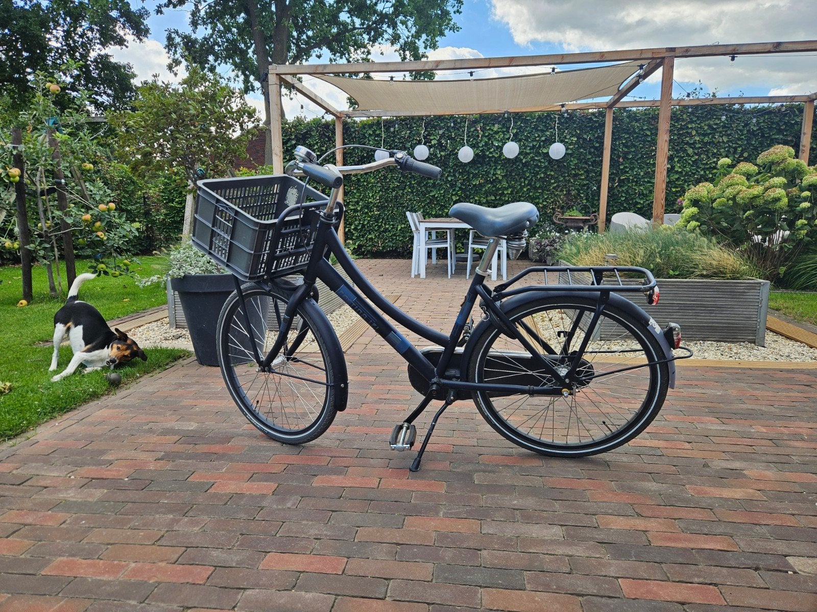 Cortina U4 transportfiets met kratje - 3 versnellingen, Terugtraprem, Gebruikt, Versnellingen, Minder dan 47 cm