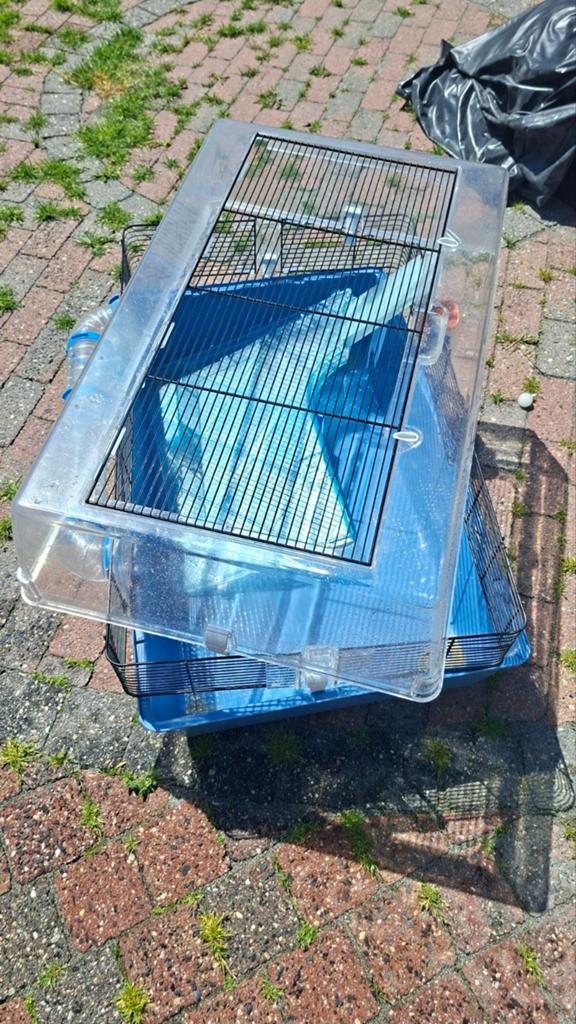 Grote knaagdieren kooi, Dieren en Toebehoren, Ophalen of Verzenden, Kooi, Rat, Minder dan 60 cm