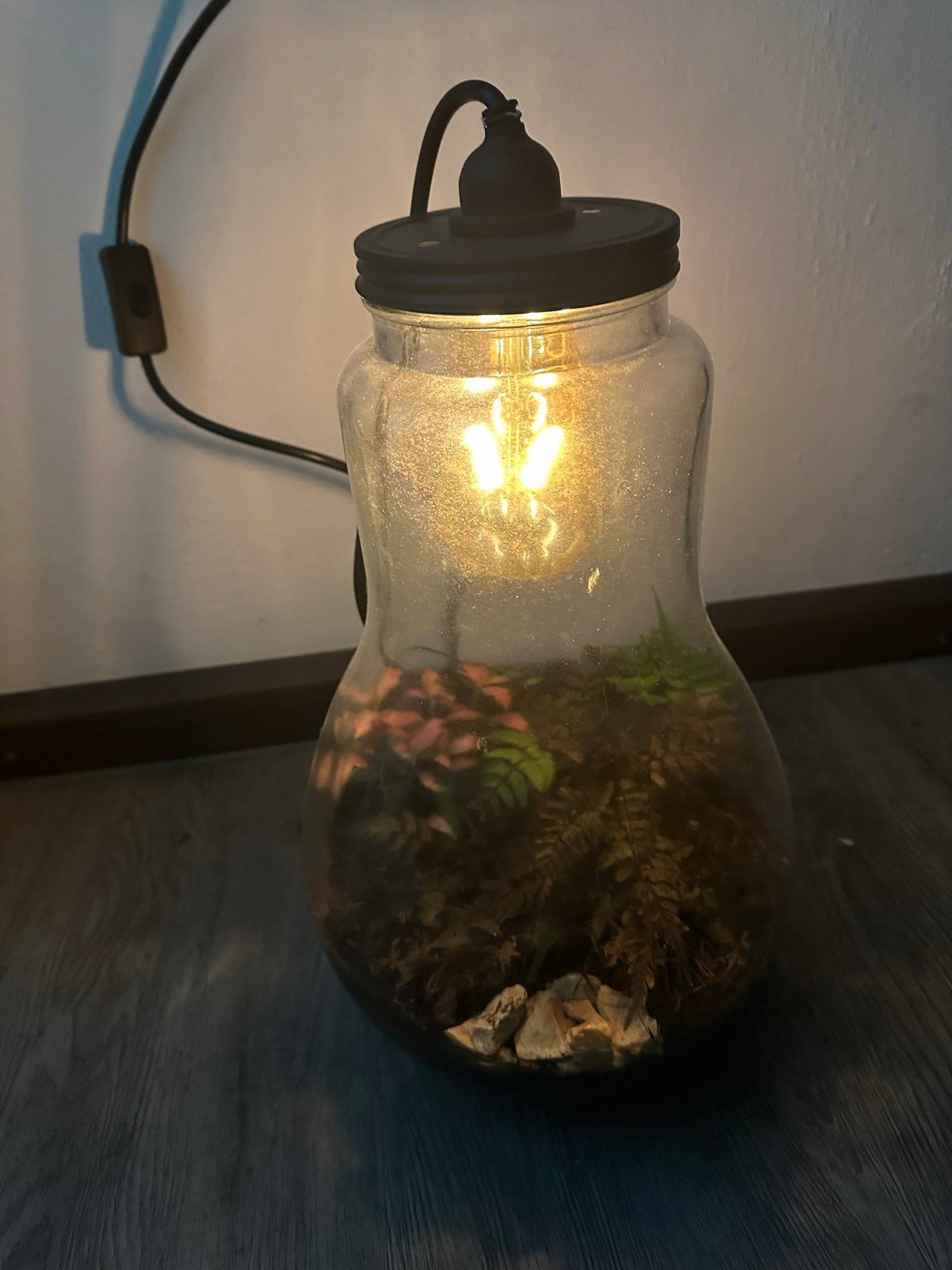 Kunstplanten in glazen lampenkap - Terrarium, Ophalen, Binnen, Groen, Kunstplant