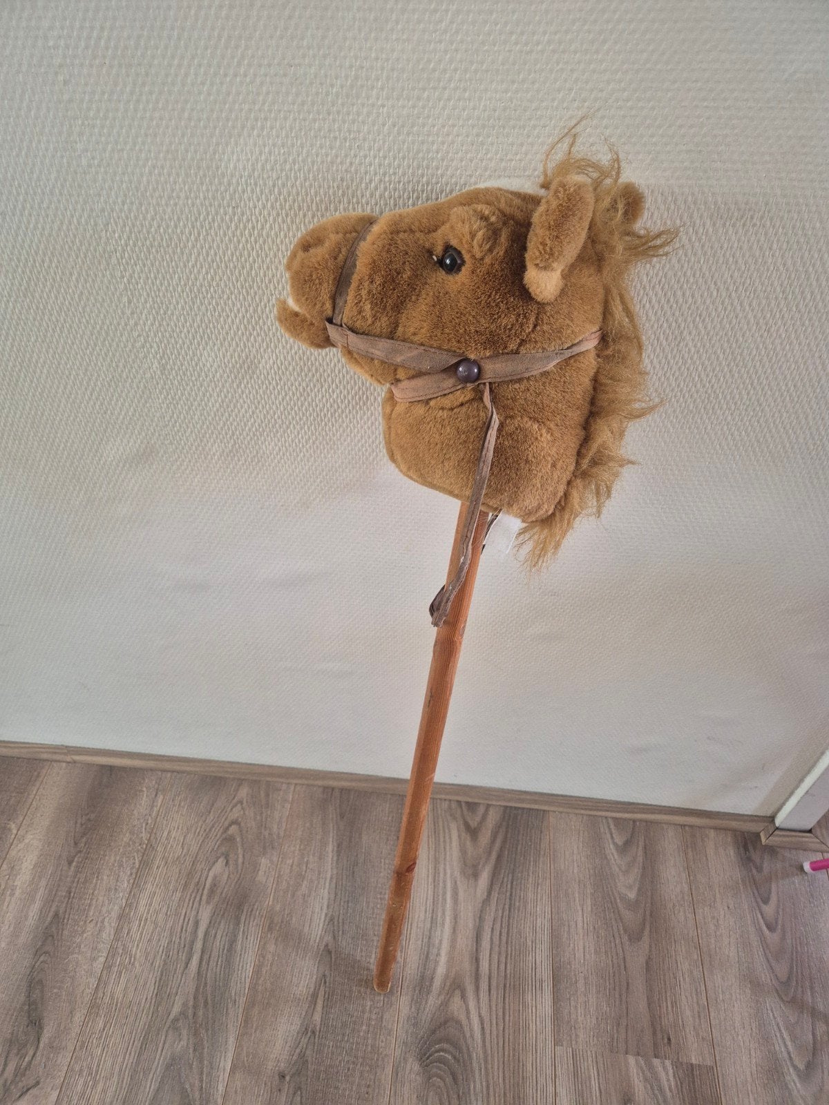 Stokpaard, Ophalen, Gebruikt, Jongen of Meisje