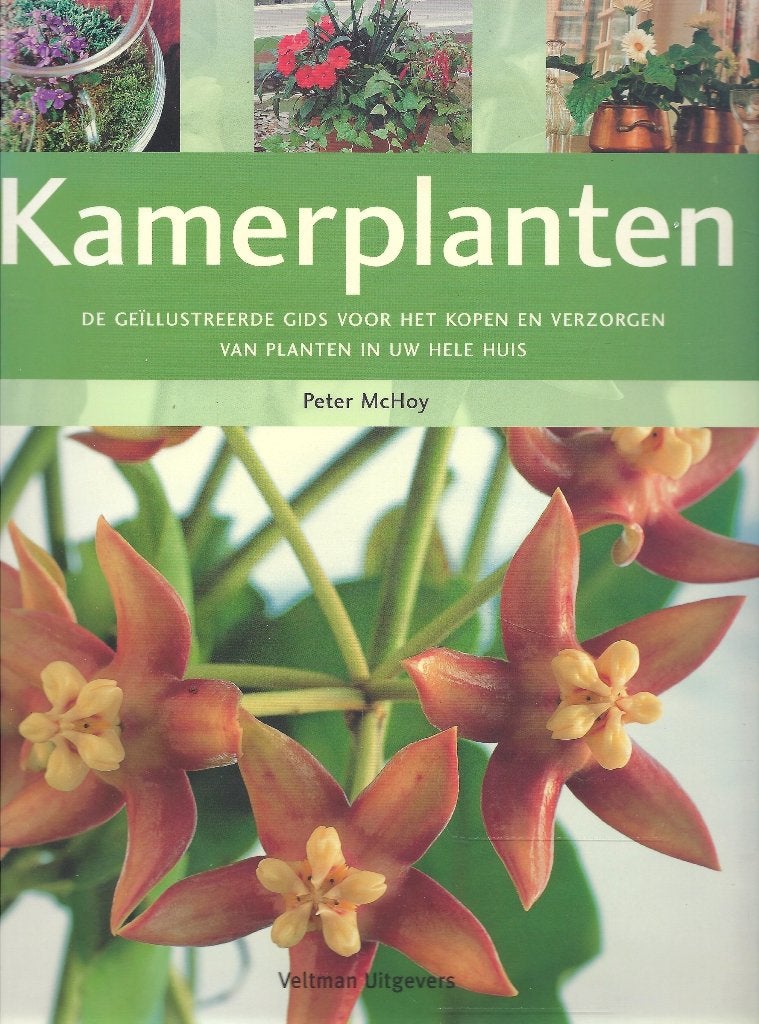 BOEK KAMERPLANTEN DE GEILUSTREERDE GIDS ., Boeken, Ophalen of Verzenden, Nieuw, Kamerplanten