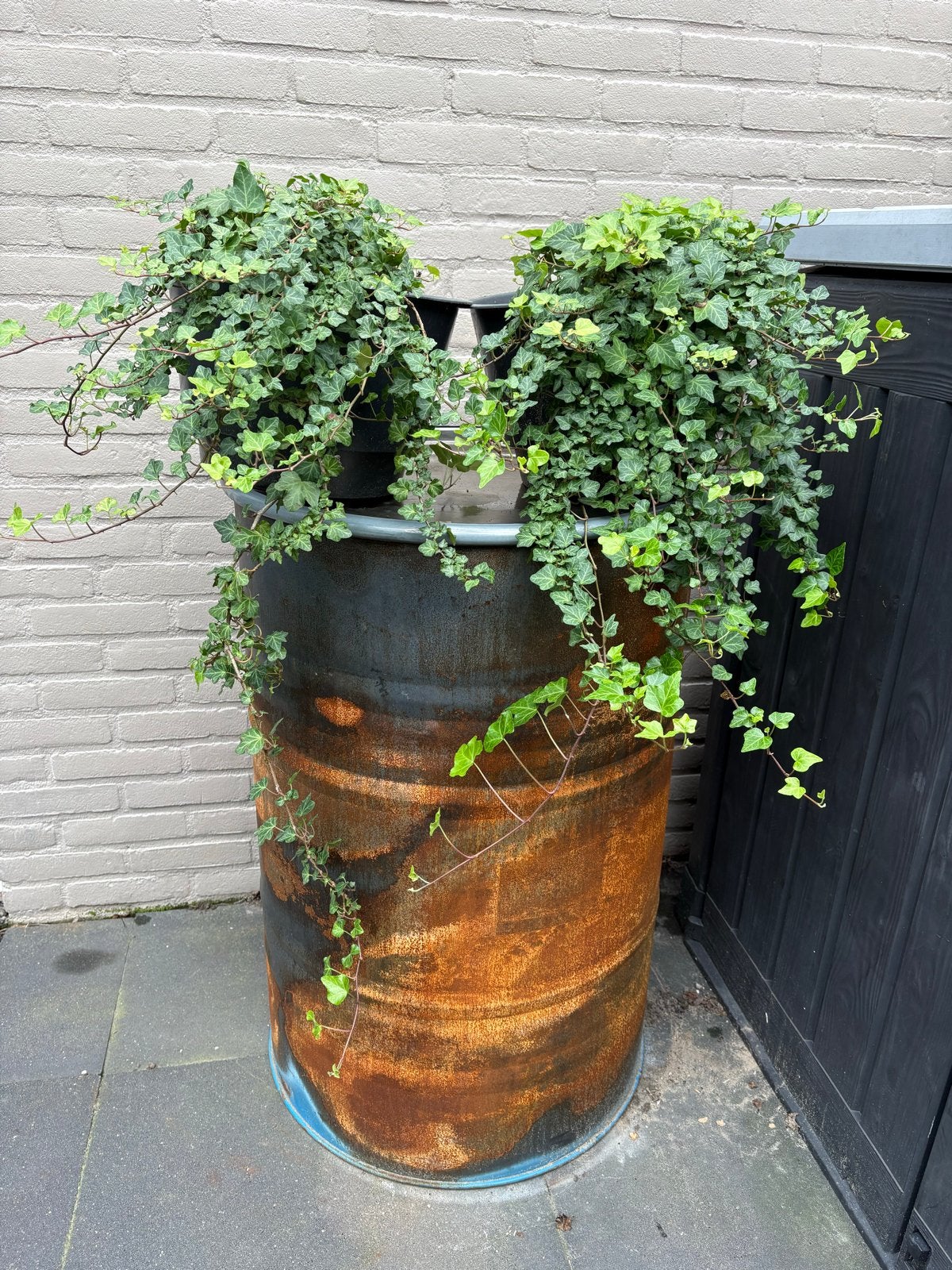 Vuurton / Regenton / Vuurkorf met deksel, 250 liter, Ophalen, Gebruikt