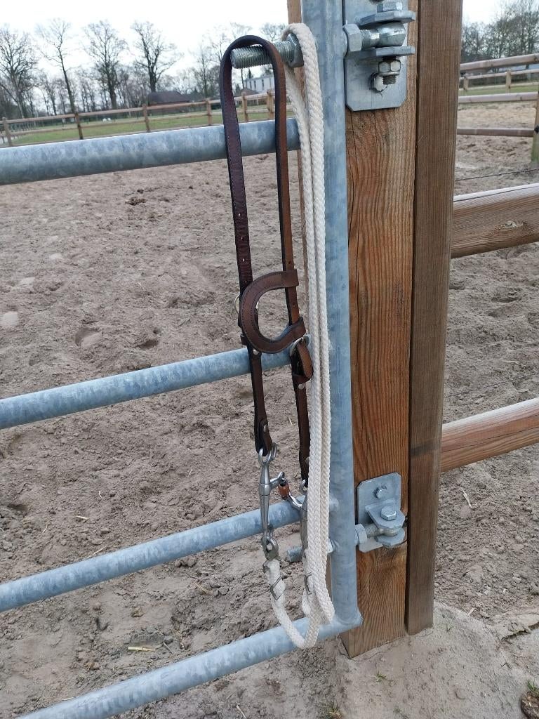 Western one ear hoofdstel, Dieren en Toebehoren, Ophalen, Gebruikt, Western