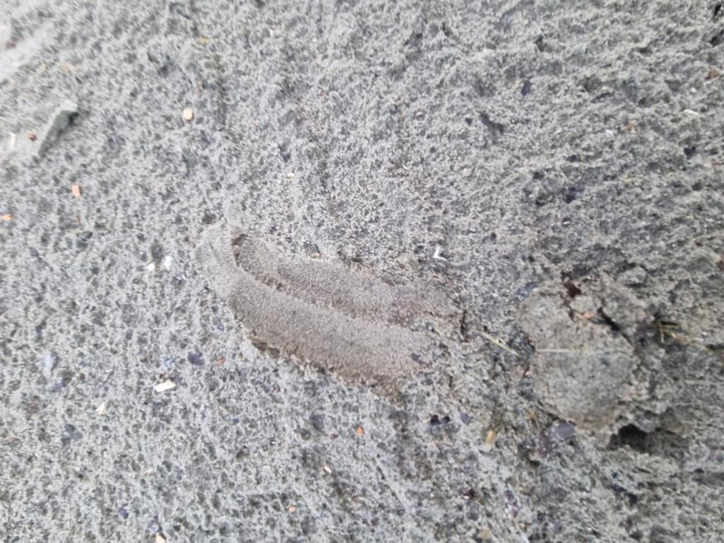 Zand en betongranulaat, Tuin en Terras, Ophalen, Zo goed als nieuw, M3C-zand