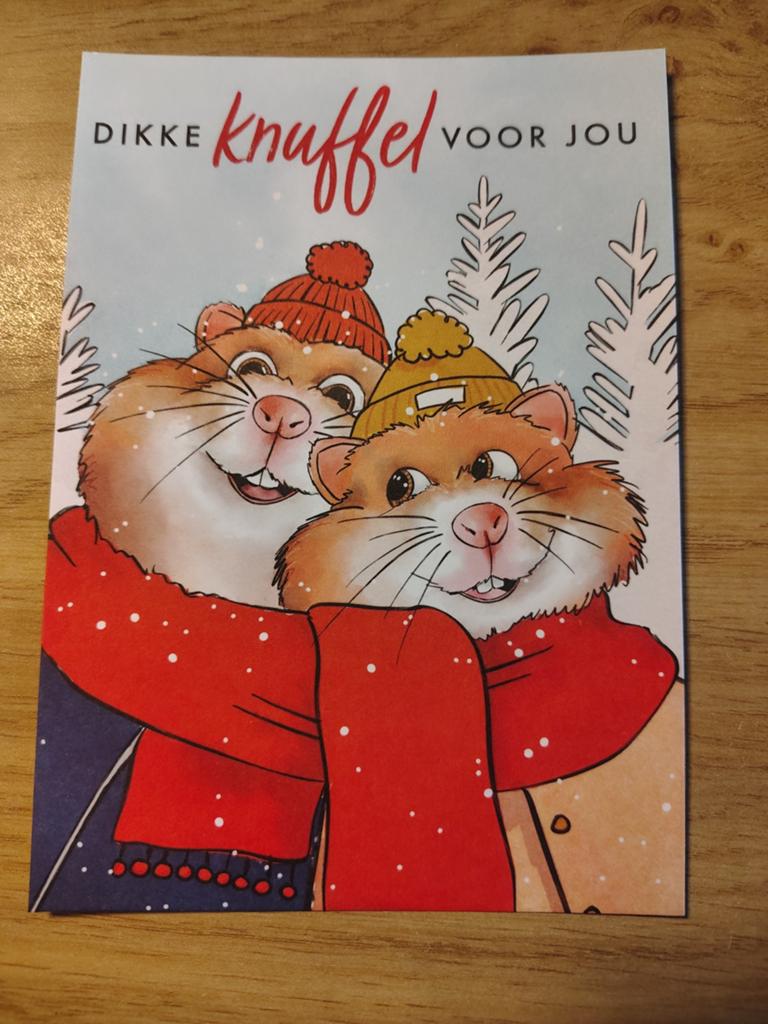 AH Hamster dikke knuffel voor jou, Verzamelen, Ophalen of Verzenden, 1980 tot heden, Overige thema's