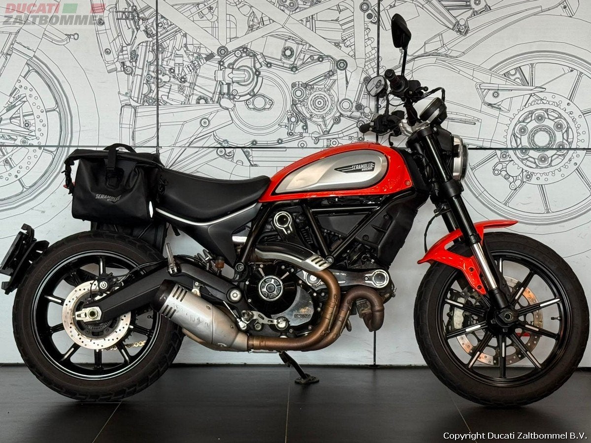 Ducati SCRAMBLER ICON (bj 2019), Sport, Meer dan 35 kW, 803 cc, Handgeschakeld