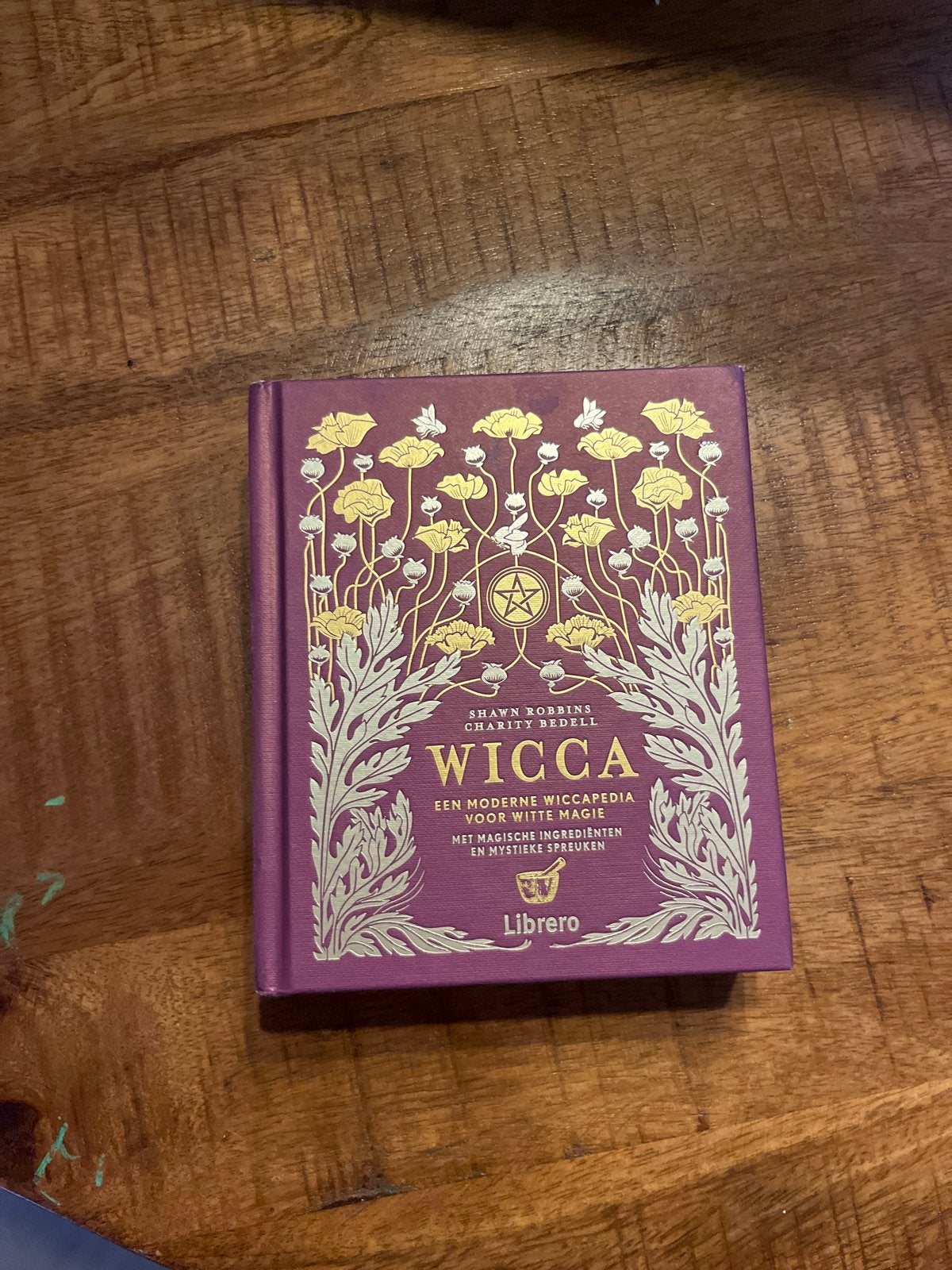 Wicca: Een Moderne Wicca Media met Magische Ingrediënten, Boeken, Ophalen of Verzenden, Zo goed als nieuw, Spiritualiteit algemeen