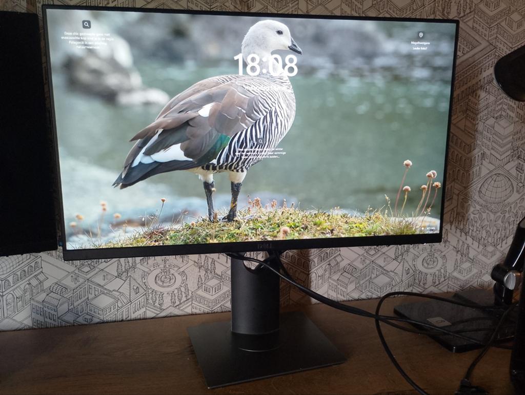 Dell monitor - P2419H, Ophalen, HDMI, Kantelbaar, Full HD