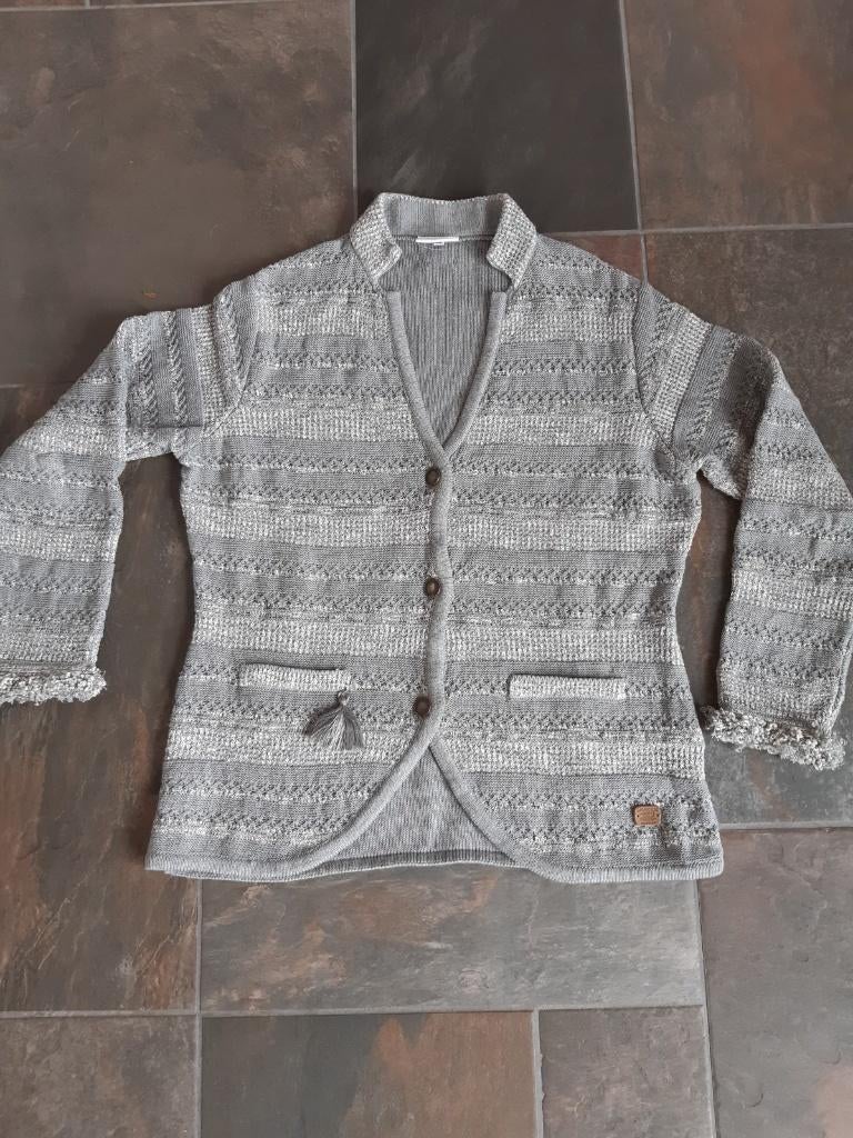 Zgan La Argentina Vest maat 40 kleur € 12,50 euro, Kleding | Dames, Maat 38/40 (M), Ophalen of Verzenden, Zo goed als nieuw, La Argentina