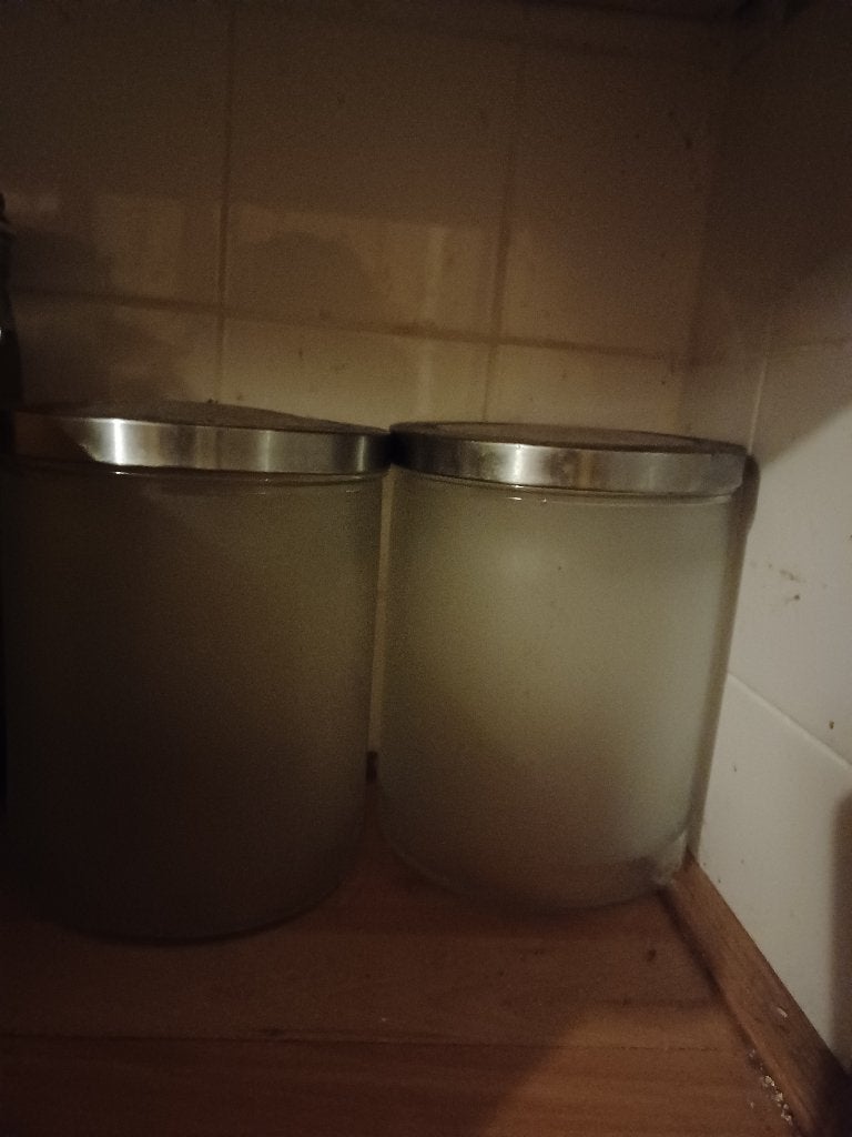 Grote mat glas pot met deksel, Huis en Inrichting, Ophalen, Glas, Pot, Bus of Blik