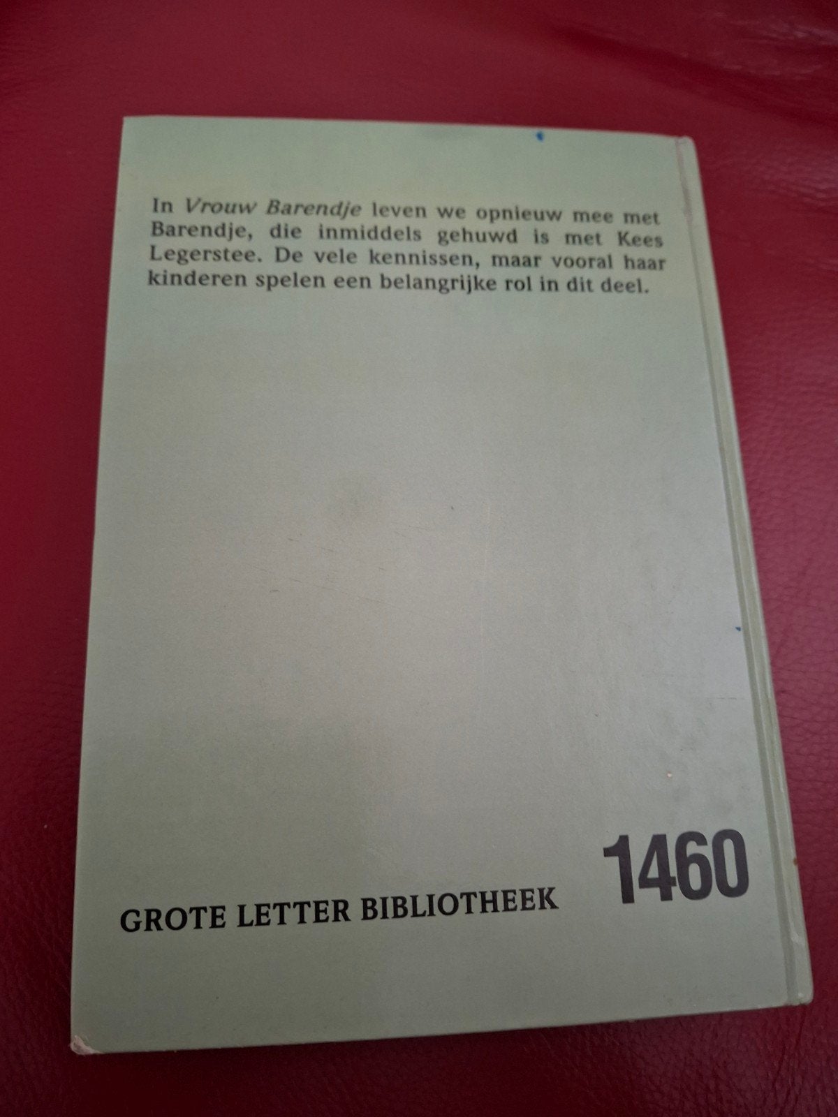 Vrouw Barendje - Pleun R. Troost (Grote Letter Bibliotheek), Boeken, Ophalen of Verzenden, Gelezen, Pleun R. Troost