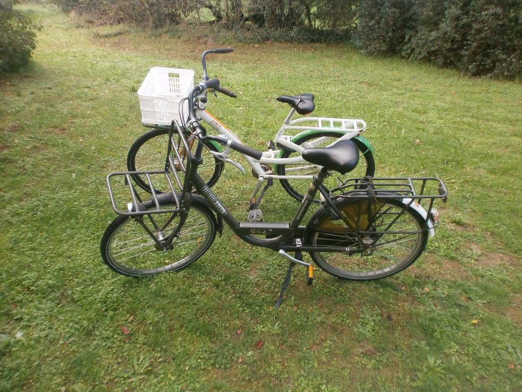 2 damesfietsen opknappers, Ophalen, Velgrem, Versnellingen, Batavus