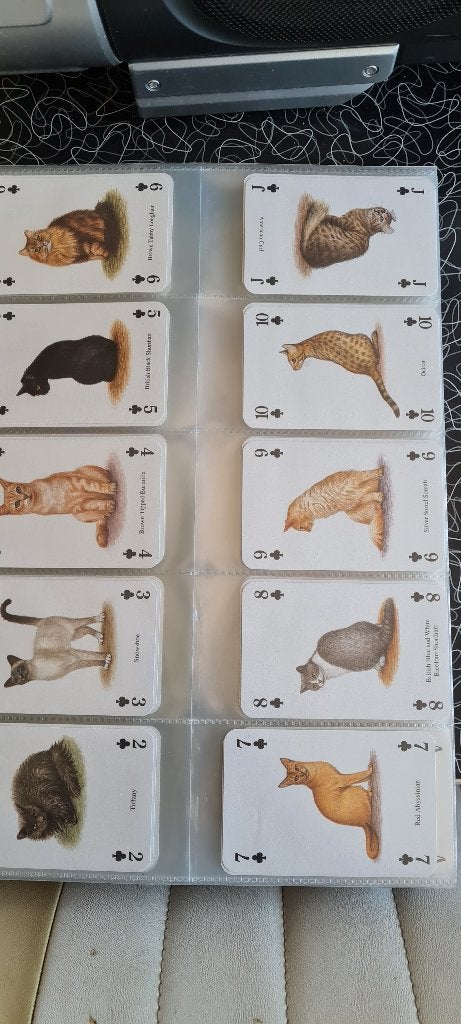 speelkaarten hel verzameling, Verzamelen, Ophalen, Nieuw, Speelkaart(en)