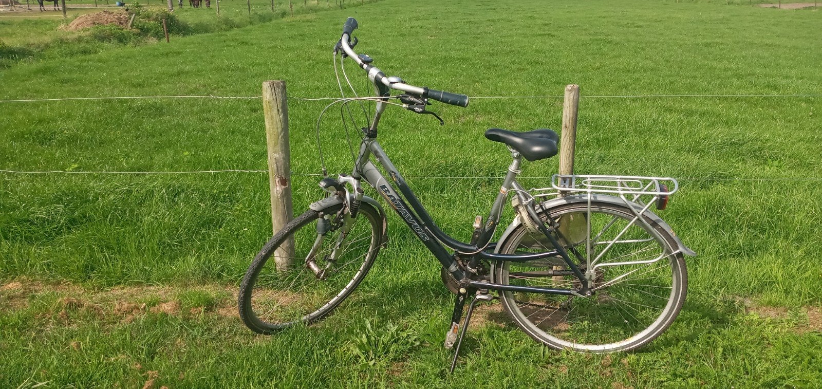 Batavus damesfiets, Ophalen
