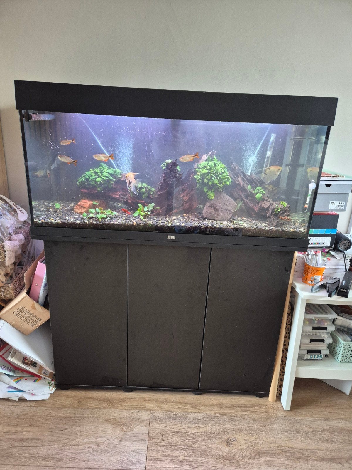 Aquarium Juwel Rio 180, Dieren en Toebehoren, Ophalen, Gebruikt, Inclusief toebehoren, Gevuld zoetwateraquarium