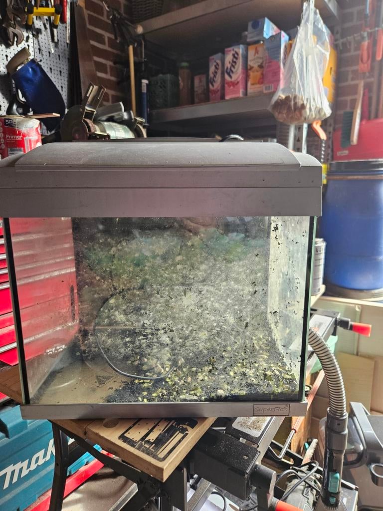 Aquarium, Dieren en Toebehoren, Ophalen