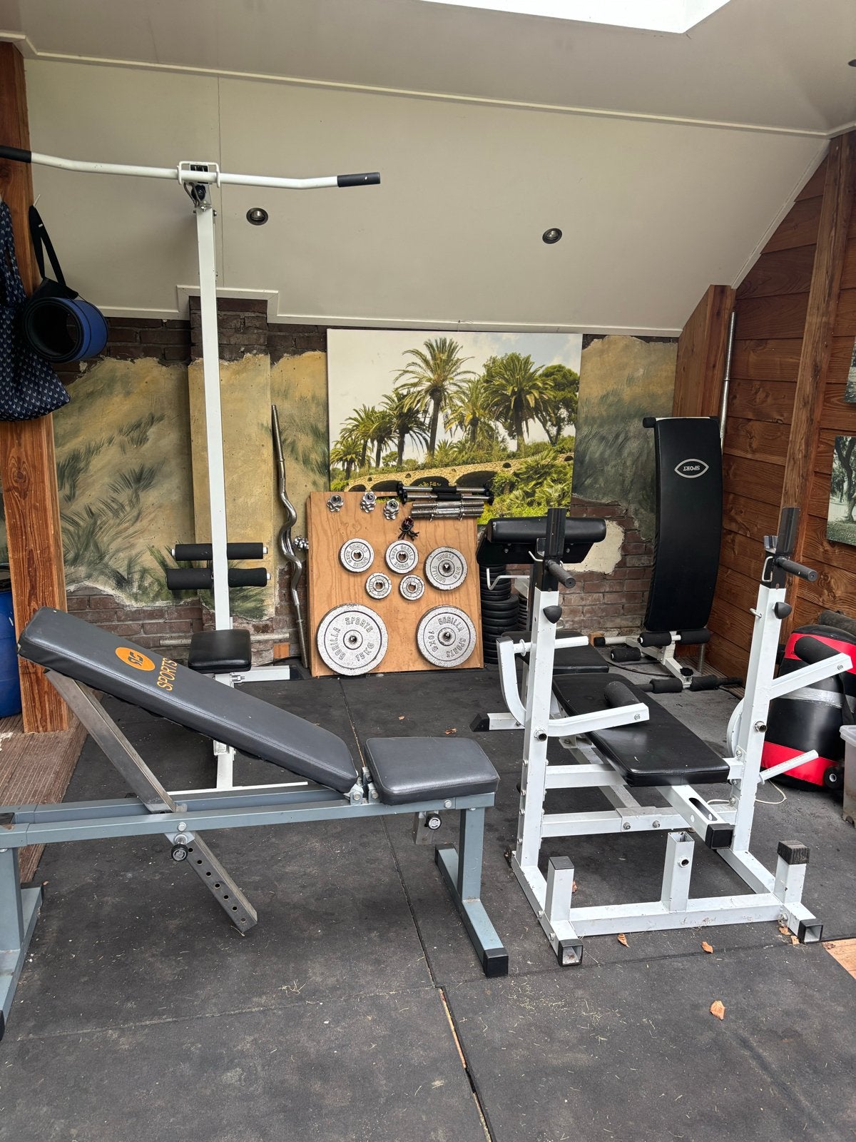Complete Fitness Set: Banken, Gewichten & Meer, Sport en Fitness, Ophalen, Gebruikt, Armen, Fitnessbank