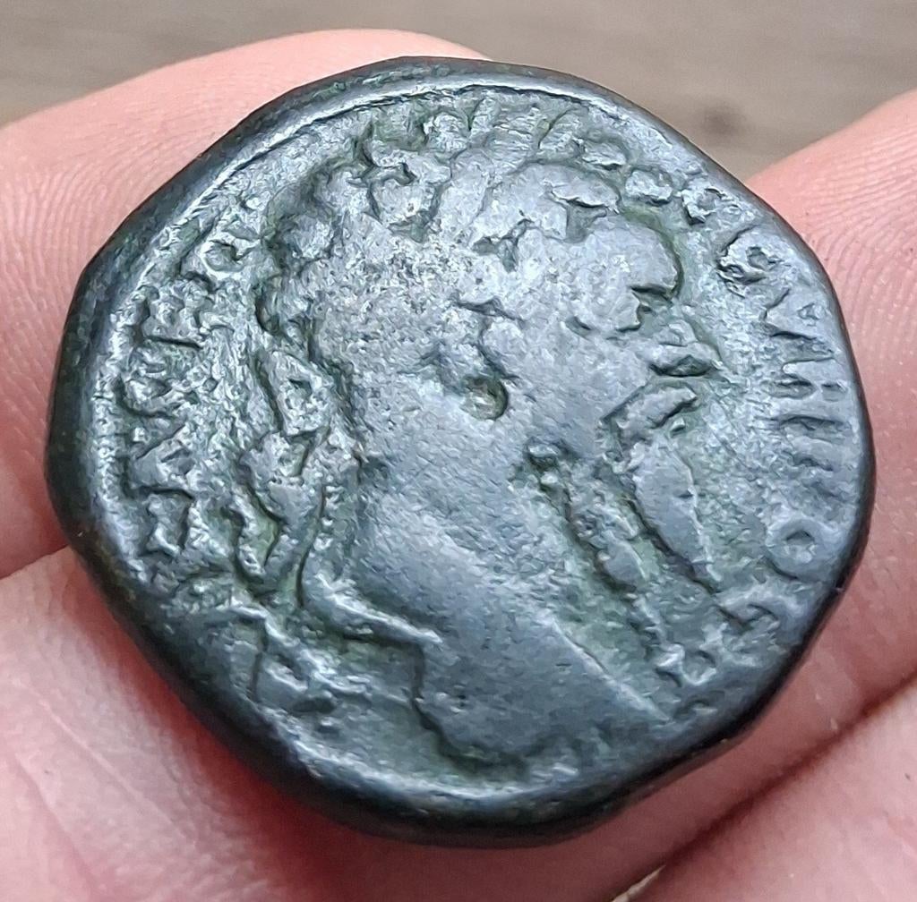 Bodemvondst - Septinus Serverus - 193 / 211 - top munt - RRR, Ophalen of Verzenden, Italië, Losse munt