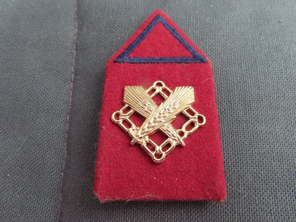 Militaire Insigne, Ophalen of Verzenden, Landmacht, Nederland, Embleem of Badge